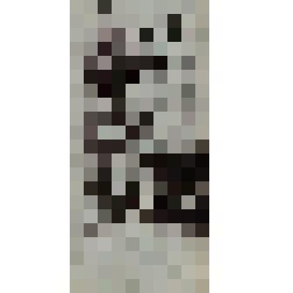 Экслибрис Чардарова, И.С