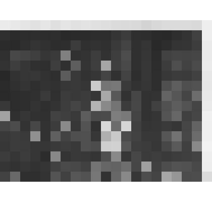 Фотография. Артист Мосин-Новосельский Михаил Сергеевич