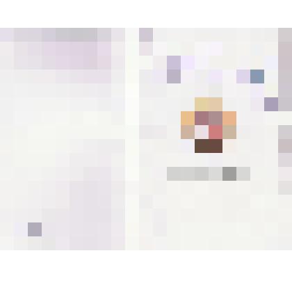 Книга  "Журавли  солдатской  памяти".  К  25-летию  Андреапольского  поискового  отряда  "Подвиг"