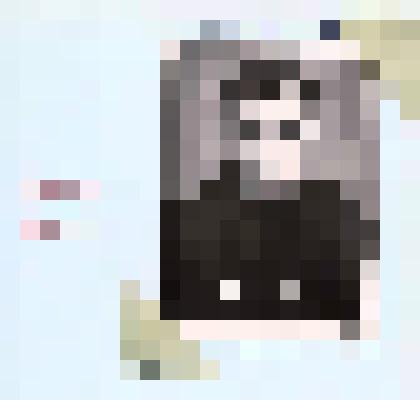 Фотография. Питерских - анализатор