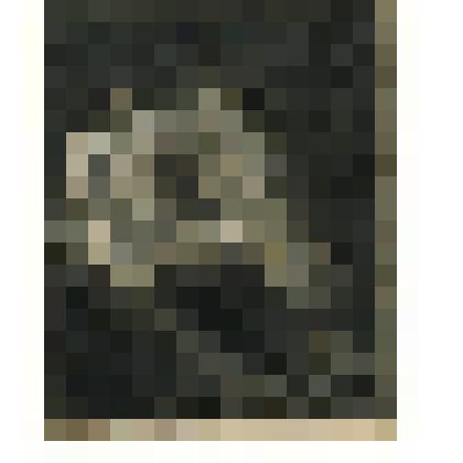 Девушка с тамбурином. С оригинала А.В. Тыранова (1836. Частное собрание)