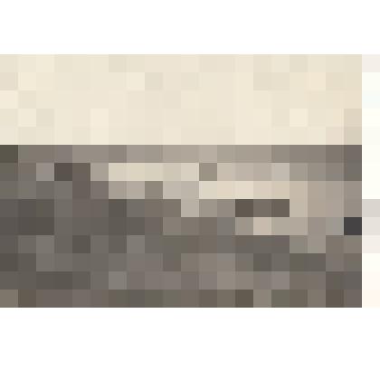 Ф/чб. Берег Волги (пристань) г. Покровск. Напротив - остров Осокорье, вдали - Саратов, соколовая гора. 1920-1940