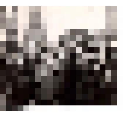 Фотография черно-белая