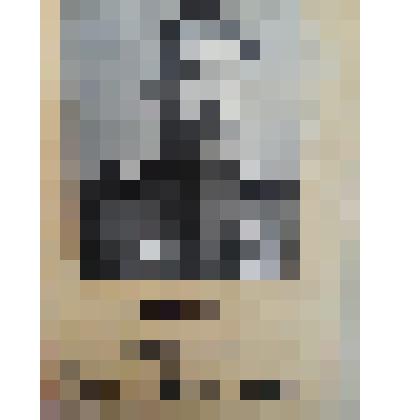 Фото Дубасов П.Я