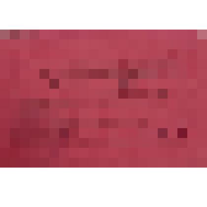 Мандат Вахтееву С. А