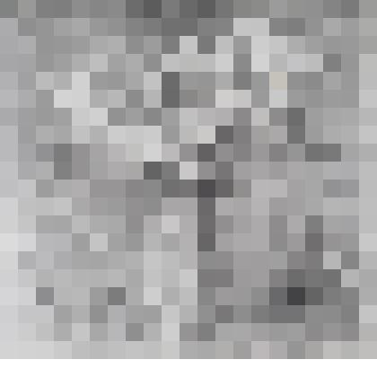 Акварель «Букет лилий»