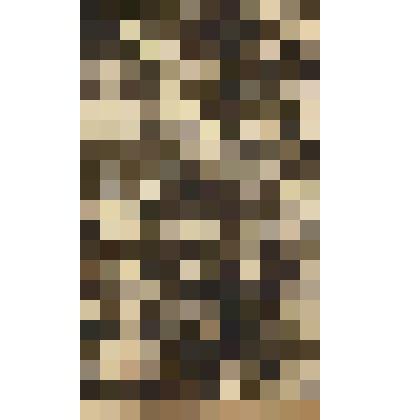 Монотипия. Клинцы. Мамина ТЭЦ