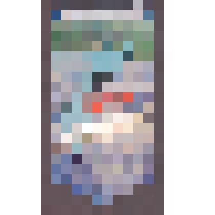 Вымпел «50 лет со дня присвоения наименования п. Нагорный 1959-2009»