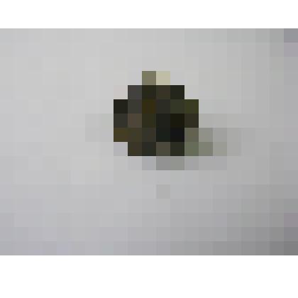 Пуговица формы РККА