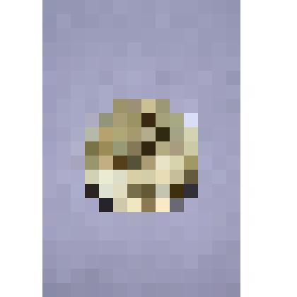 Монета достоинством 15 копеек, 1967 года выпуска