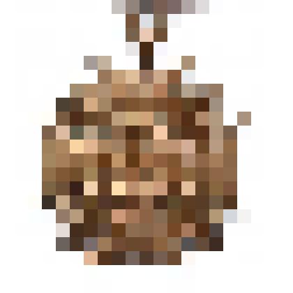 "Бронзовый крест заслуги"