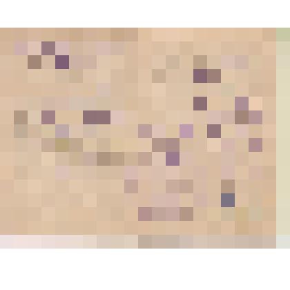 Пенсионное удостоверение № 356 на имя Рымарева Василия Тимофеевича