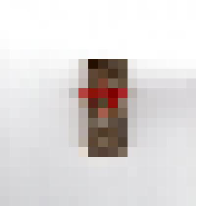 Значок Запорожье 1943 - 1983