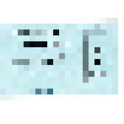 Гостевой билет Гуляева Башира Локмановича