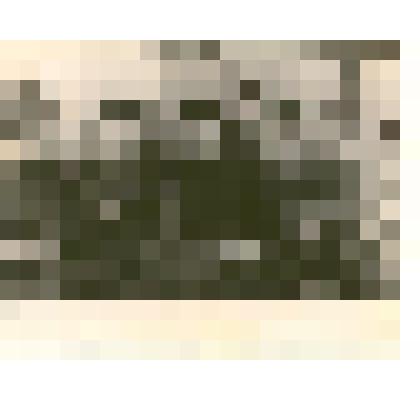 Фотография: бригада коммунистического труда Каменского авторемонтного завода. Бригадир Экгардт А.И