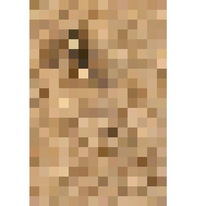 Игла инъекционная к шприцу «Рекорд» многократного применения, из коллекции предметов быта от сотрудников Саратовского областного музея краеведения