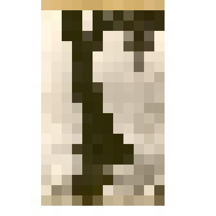 Фотография. Природа окрестностей г.Камня-на-Оби