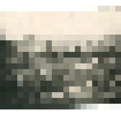 Фотография. Оленный транспорт на отдыхе после тяжелого перехода через пролив Д. Лаптева