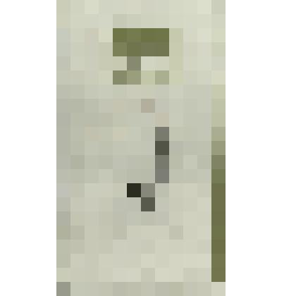 Программа. МХАТА спектакля «Чайка» Ю-Сахалинск, 1986 г