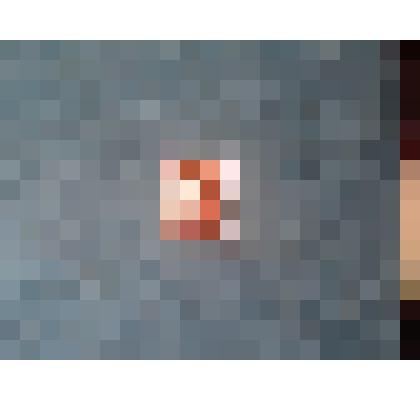 Марка "Л.М. Павличенко"