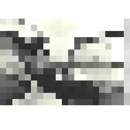 Фотографии. Фото ч/б. Герой Советского Союза, летчик Михаил Девятаев, который бежал из фашистского плена на засекреченном военном самолете и вывез еще девять советских военнопленных