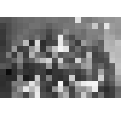 Фотография групповая, 4-ого выпуска Комсомольского отделения Ивановской высшей Коммунистической школы