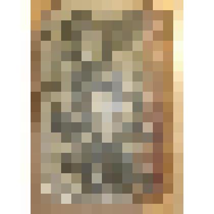 Книга. "Выписки из старописьменных, старопечатных и других книг, свидетельствующие о святости соборной и апостольской церкви и о необходимости покоряться ея уставам для достижения спасения. Сделаны московским купцом Адрианом Ивановичем Озерским. Ч. 1, 2