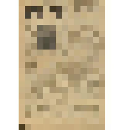 Газета. "Северная вахта" № 39