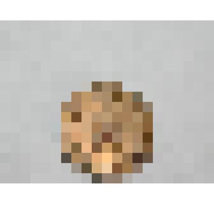 Монета. 1 копейка