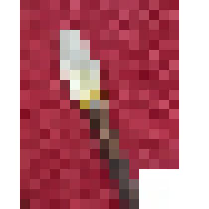 Стрела (наконечник)