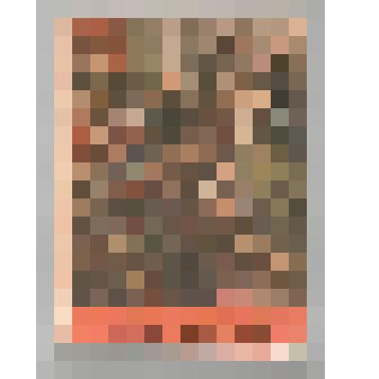 Книга «Учиться коммунизму»