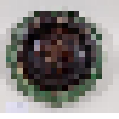 Тарелка средняя глубокая на низком поддоне