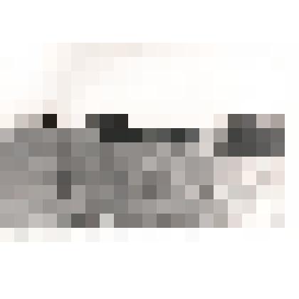 Фотоснимок "Корма колхоза Память Ленина ."