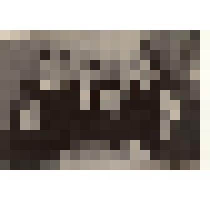 Фотография: бригада дояров колхоза "Прогресс" Каменского района Алтайского края Колесников М.И. (бригадир), Дудукаленко В., Вегера Д., Решетникова В., Козырева В., Канищев А., Бабкин В., Вегера Е