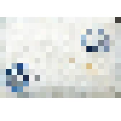 Фотография. "Семья Дорошенко Я.В."