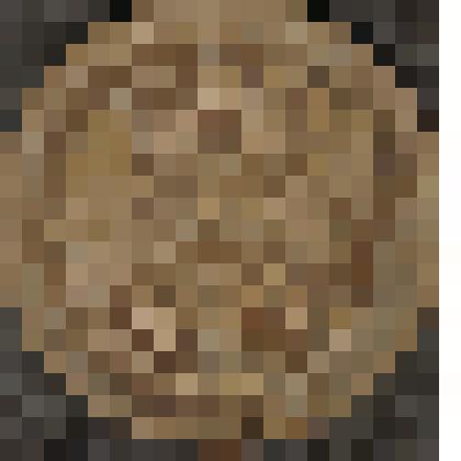 Монета. 10 копеек. Россия страна