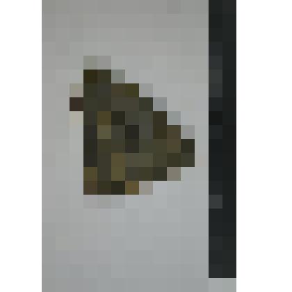 Сосуд. Фрагмент