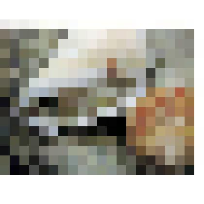 "Краб-отшельник и рапана", сюжет №3