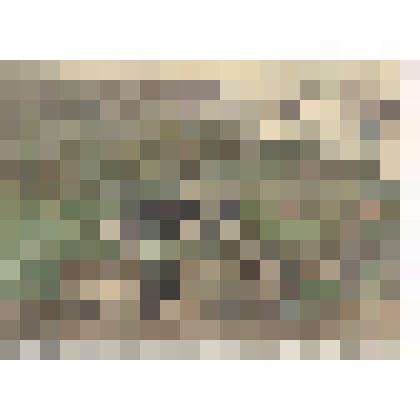 Май в ауле Хунда. Дагестан