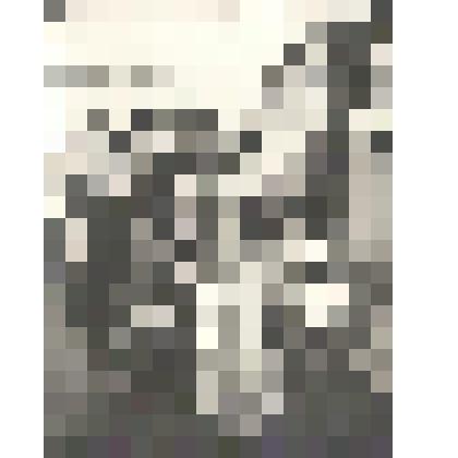 Фотографии. Фото. Половникова В.Н. с коллегами в музее