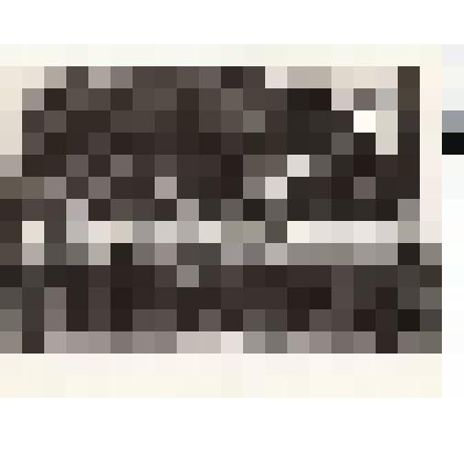 Ф/чб. Сборы руководящего состава ВУЗов ПВО. Солдатов В.Т. в группе офицеров. Житомир. 1978