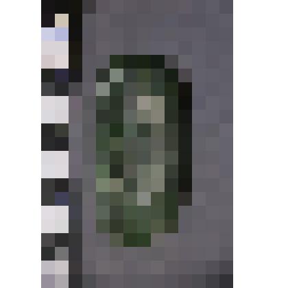 коллекция В.Ф. Лагодича. Талисман каменный лежачий, выполнен в виде головы человека. Овальной формы, с правой и левой стороны от лица прорезаны волосы. Камень зеленого цвета