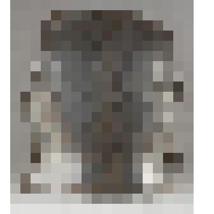 Латы (спина)