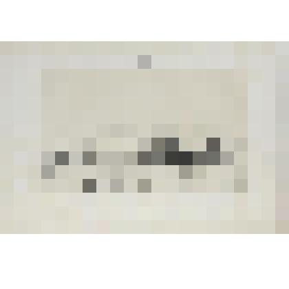 Литография. "Санкт-Петербург. Домик Петра Великого на Большой Неве."