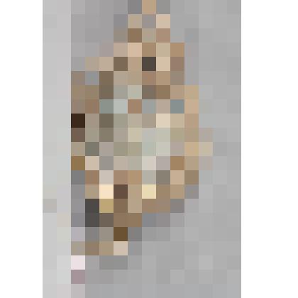 Картуш с сюжетом "Крещение Господне"