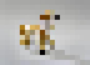 Рыжая собака Ноздрева. Из композиции "Герои Гоголя"