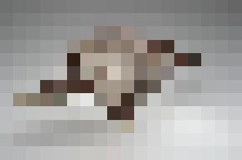 Чаша декоративная, из композиции "Крит. Средиземное море"