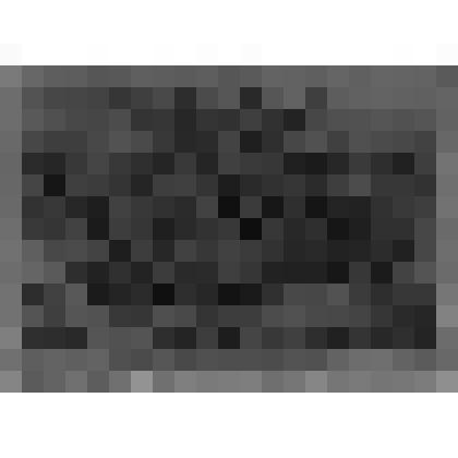 Стеклянный негатив. "Переснятое изображение"