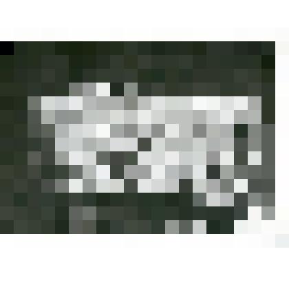 Фотография. Походный чемодан на нем медная чернильница, принадлежавшие И.Д. Черскому