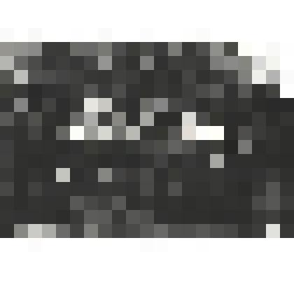 Фото "Коллектив Усть-Цилемского сельскохозяйственного управления"